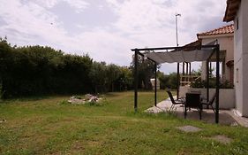 Agios Mamas Resort